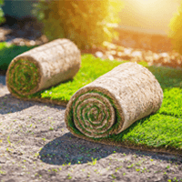 Green Forest - Cyprus' leading landscaping company - Home 2 Green Forest - Cyprus' leading landscaping company - Untitled 1 1