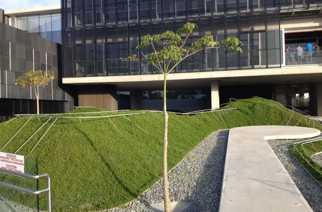 Green Forest - Cyprus' leading landscaping company - Сетка блогов 2 Наружный биоклиматический дизайн и ландшафтный дизайн