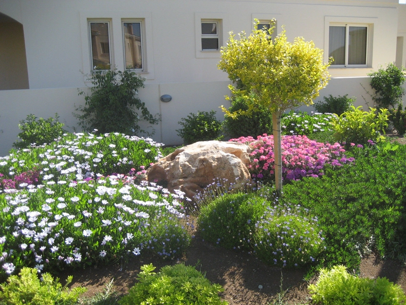 проект-018-12 Green Forest - Cyprus' leading landscaping company - project 018 12