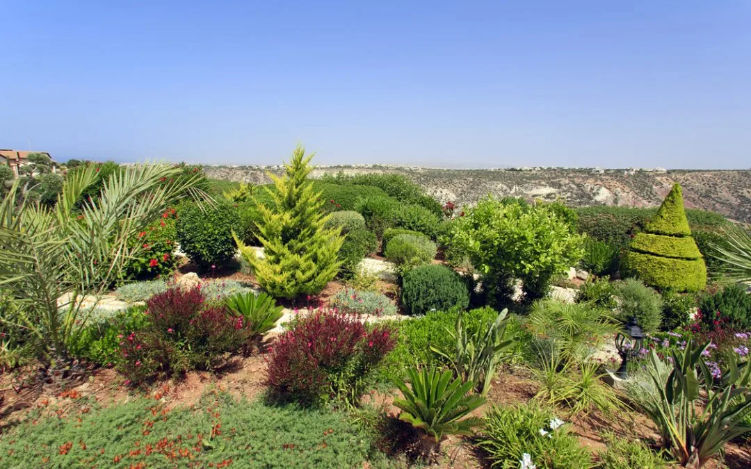 Green Forest - Cyprus' leading landscaping company - Сетка блогов 1 5 простых, но важных вещей, которые следует учитывать при проектировании вашего сада