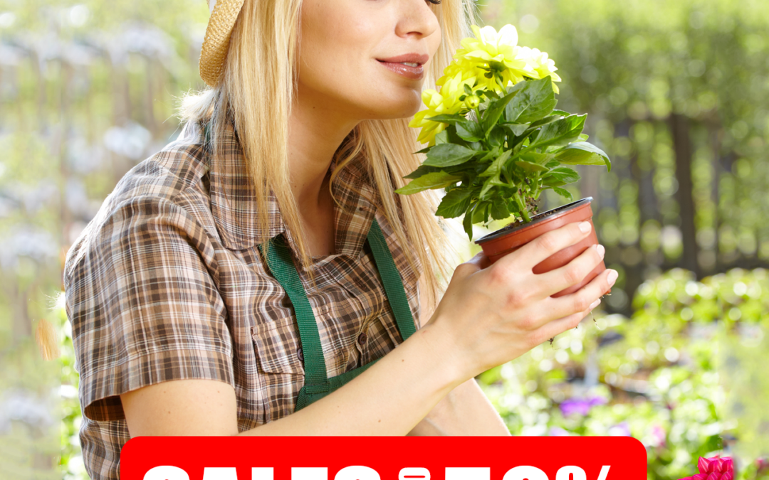 Green Forest - Cyprus' leading landscaping company - 博客网格 5 Ανοιξιάτικες Προσφορές 2020! Εκπτώσεις 20%-50% για όλο τον Απρίλιο!