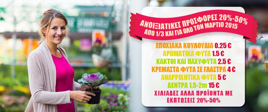 集市15en4层薄片