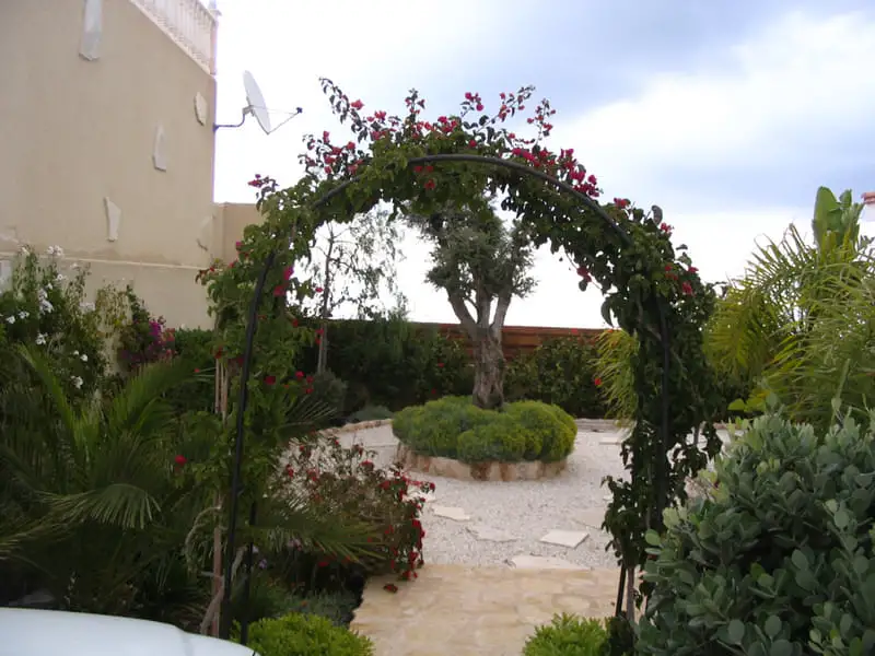 Green Forest - Cyprus' leading landscaping company - arches 13 2