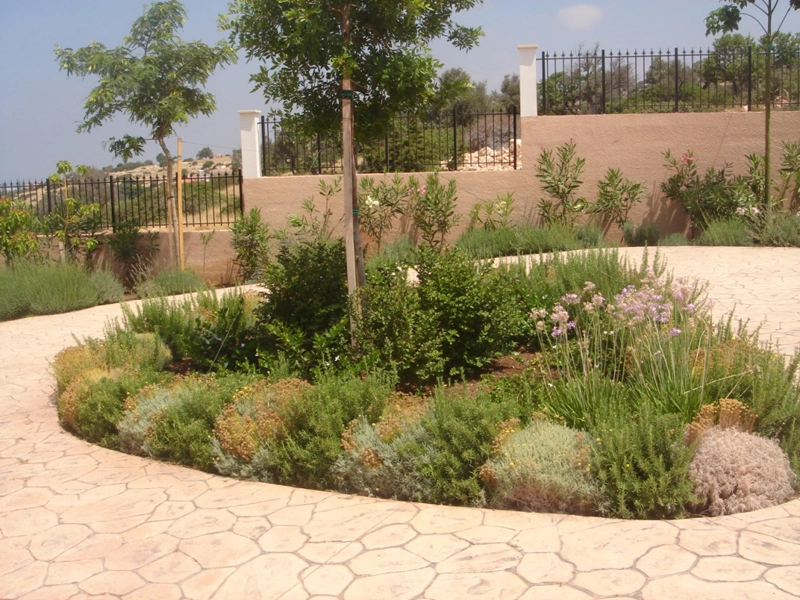 Green Forest - Cyprus' leading landscaping company - aromaticgardens 38 2