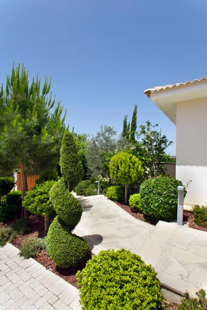Green Forest - Cyprus' leading landscaping company - bonsaigardens 2