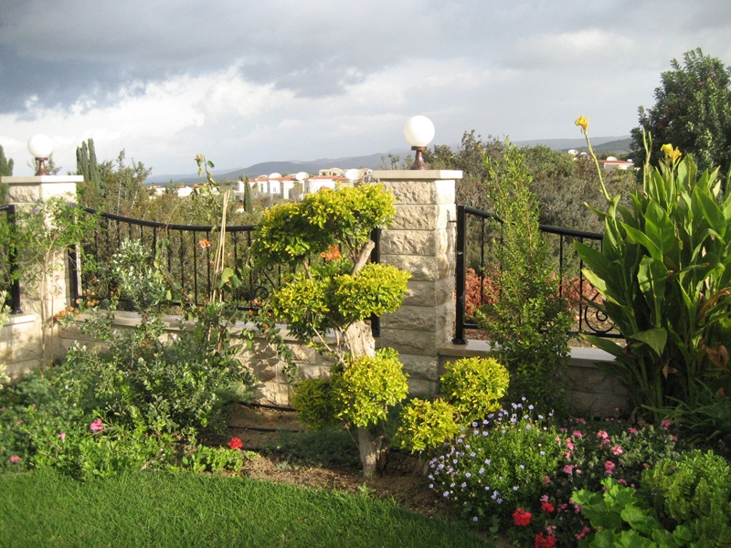 Green Forest - Cyprus' leading landscaping company - bonsaigardens 46 1