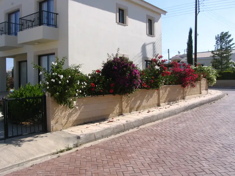 Green Forest - Cyprus' leading landscaping company - bonsaistemstopiariesplants 48