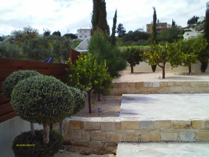 Green Forest - Cyprus' leading landscaping company - bonsaistemstopiariesplants 53 1