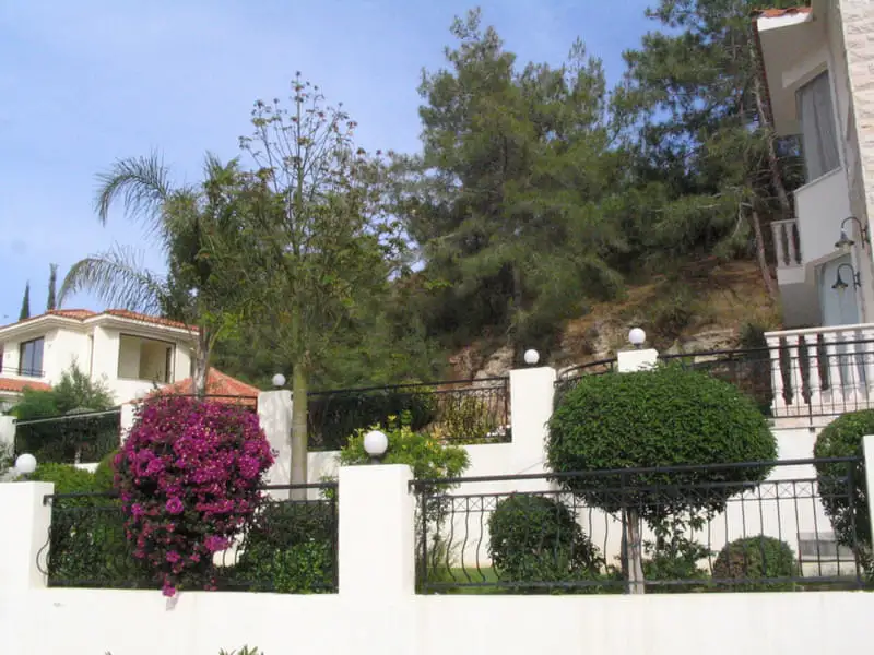 Green Forest - Cyprus' leading landscaping company - bonsaistemstopiariesplants 57 1