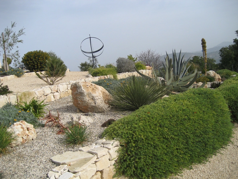 Green Forest - Cyprus' leading landscaping company - cactussucculentsplants 25 1