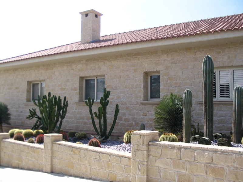 Green Forest - Cyprus' leading landscaping company - cactussucculentsplants 42