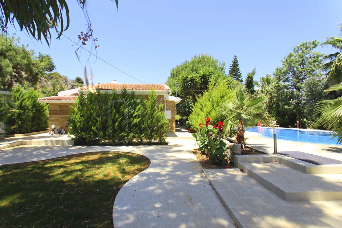 Green Forest - Cyprus' leading landscaping company - coniferplants 11 2