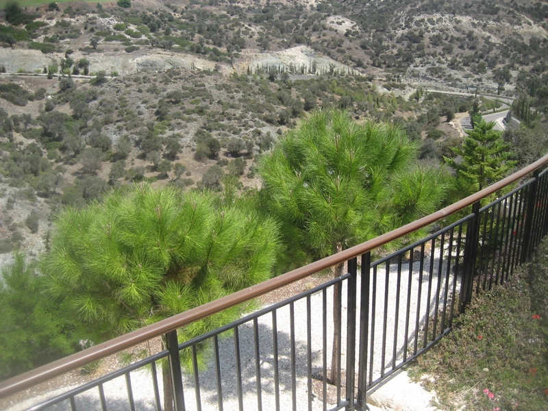 Green Forest - Cyprus' leading landscaping company - coniferplants 48 2