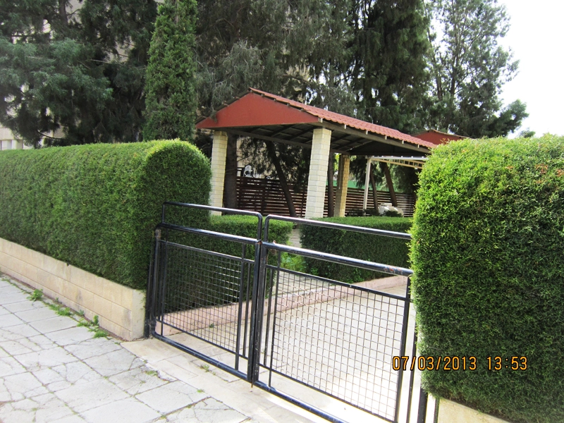 Green Forest - Cyprus' leading landscaping company - coniferplants 65 2