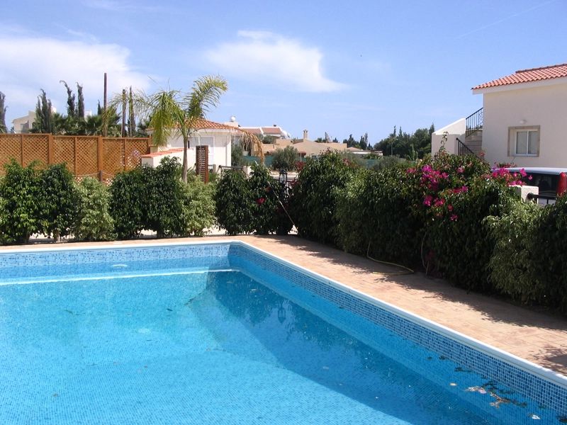 Green Forest - Cyprus' leading landscaping company - ficusplants 30 2