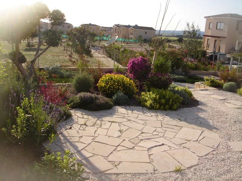 Green Forest - Cyprus' leading landscaping company - flowerbushesplants 18 2