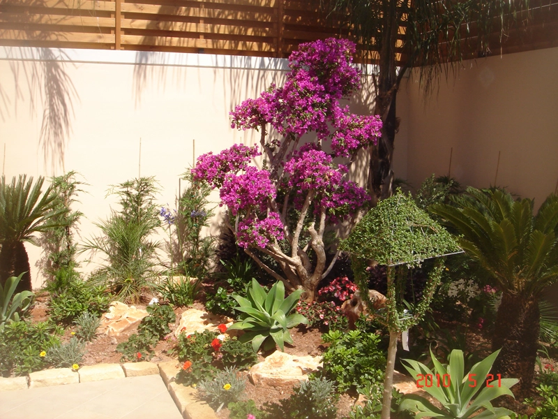 Green Forest - Cyprus' leading landscaping company - flowerbushesplants 45 2