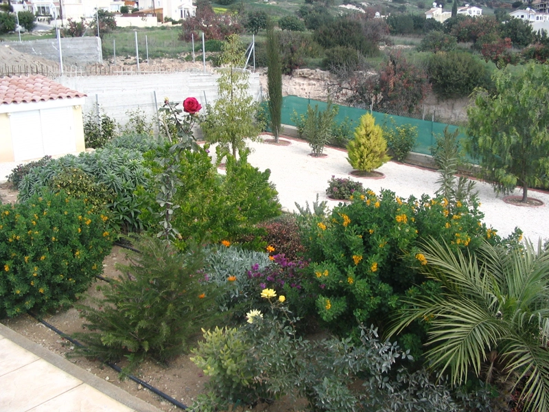 Green Forest - Cyprus' leading landscaping company - flowerbushesplants 48 2