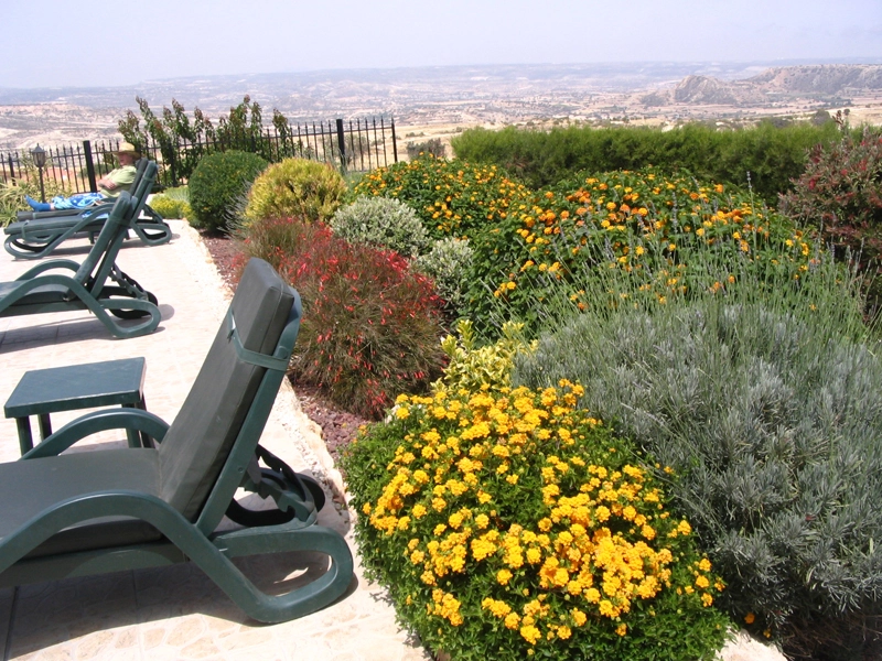 Green Forest - Cyprus' leading landscaping company - flowerbushesplants 60 2