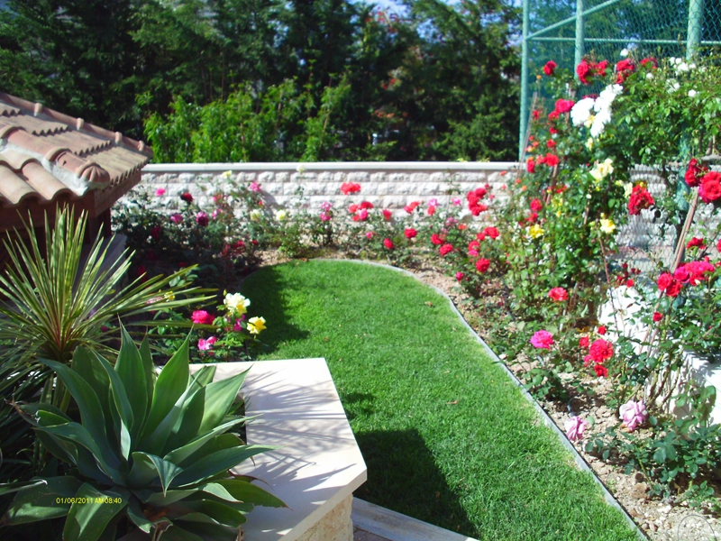 Green Forest - Cyprus' leading landscaping company - flowerbushesplants 61 2