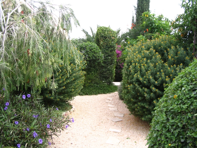 Green Forest - Cyprus' leading landscaping company - flowerbushesplants 63