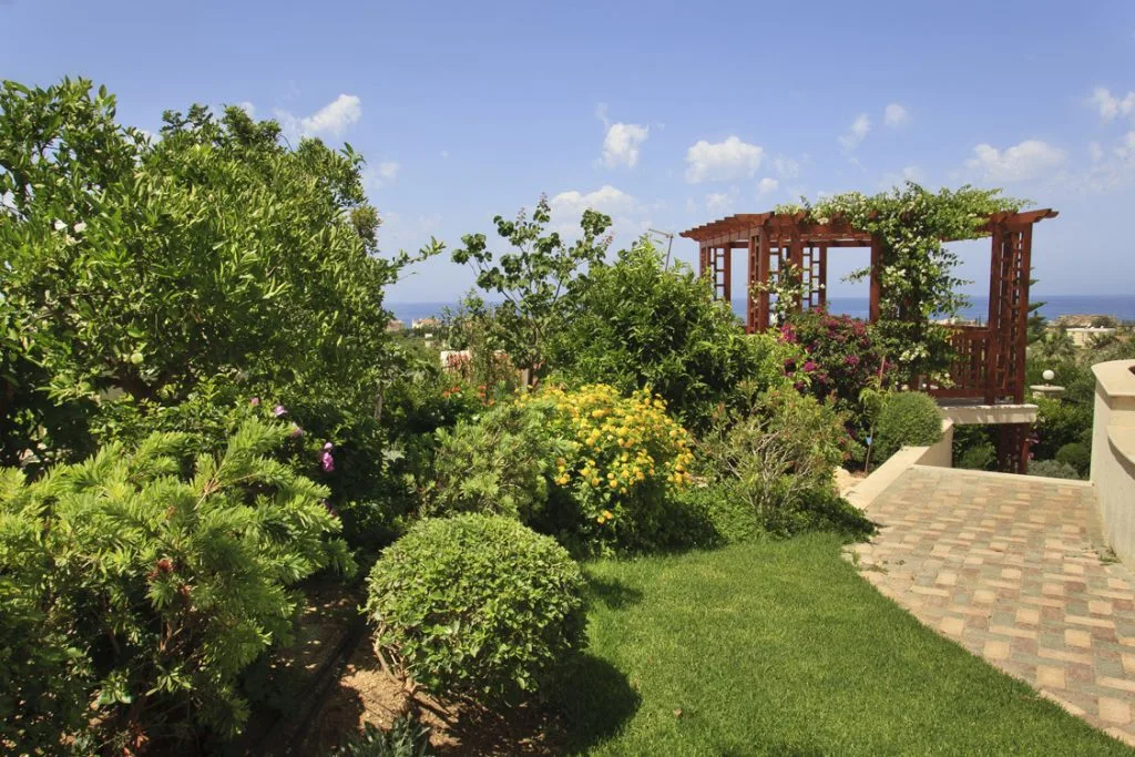 Green Forest - Cyprus' leading landscaping company - flowerbushesplants 9 1