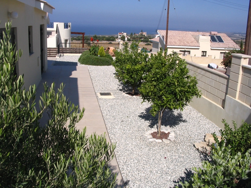 Green Forest - Cyprus' leading landscaping company - fruitgardens 15