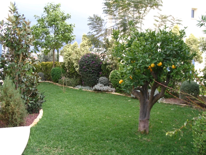 Green Forest - Cyprus' leading landscaping company - fruitgardens 5 2