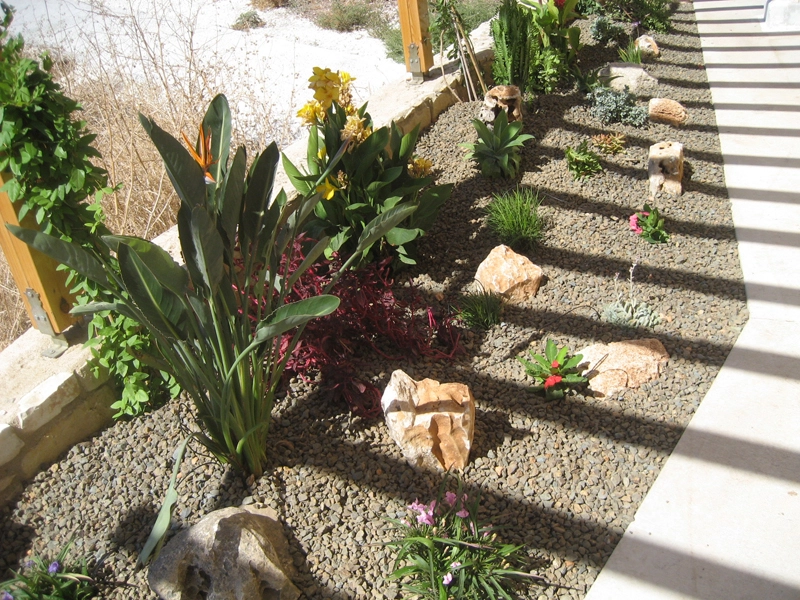 Green Forest - Cyprus' leading landscaping company - gravelgardens 35 1