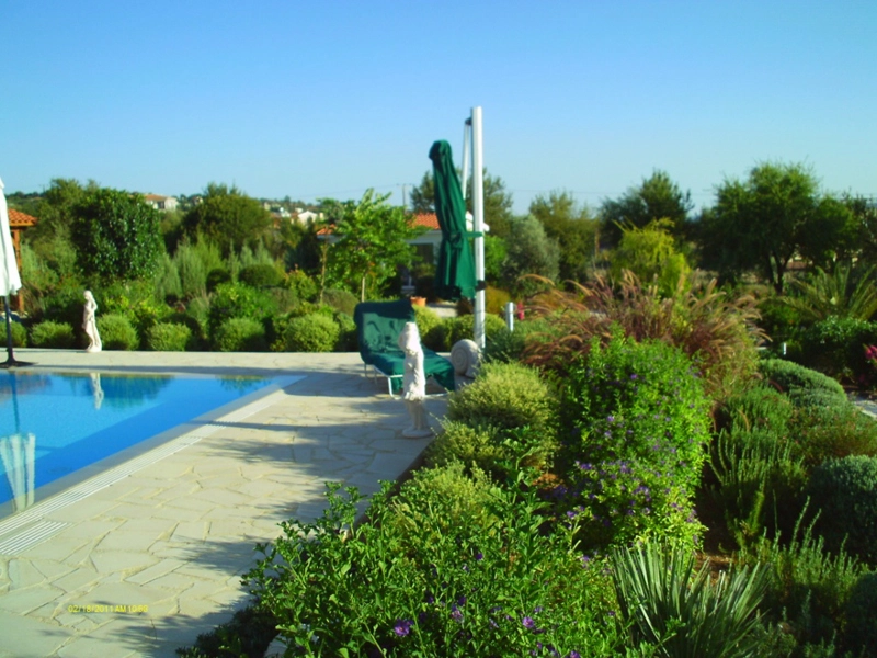 Green Forest - Cyprus' leading landscaping company - greenbushesplants 21 2