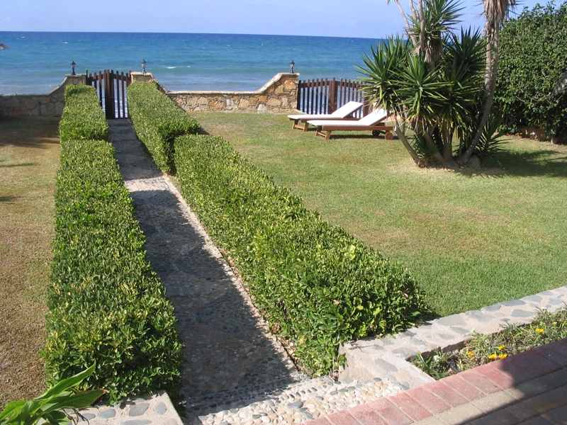 Green Forest - Cyprus' leading landscaping company - greenbushesplants 27