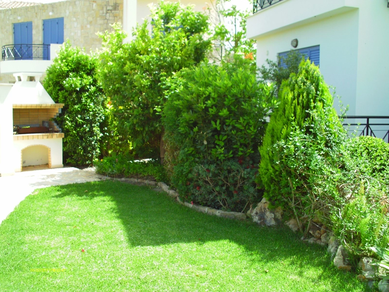 Green Forest - Cyprus' leading landscaping company - greenbushesplants 38