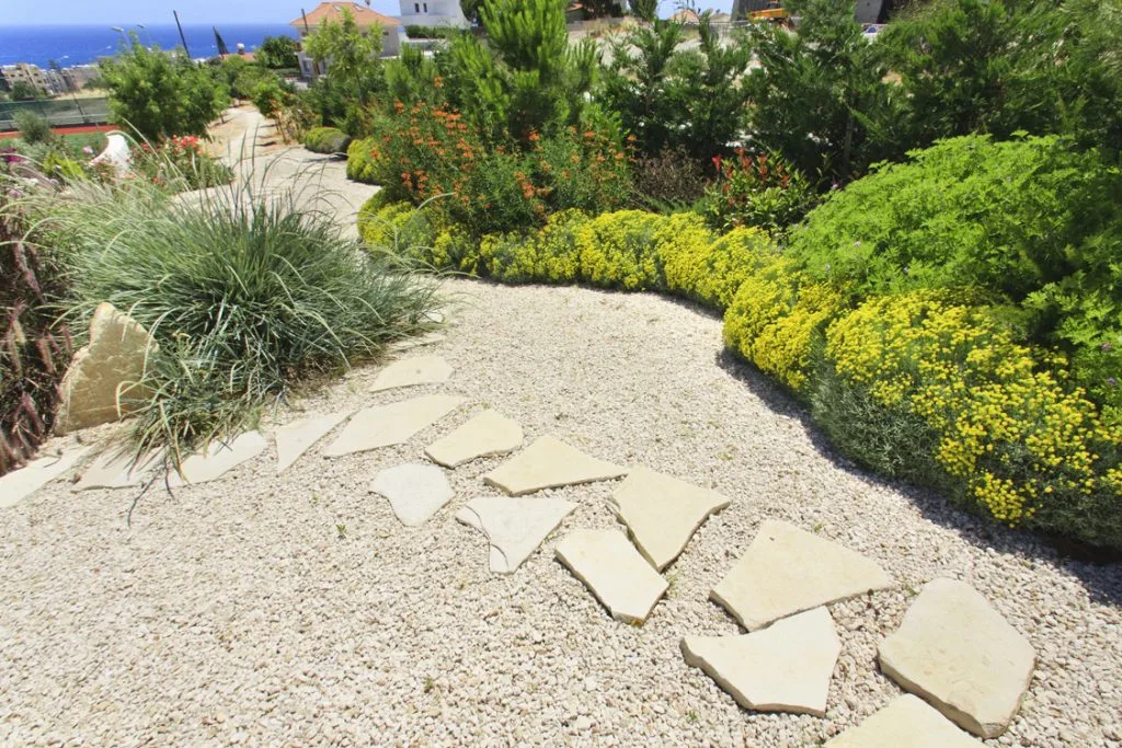 Green Forest - Cyprus' leading landscaping company - herbsplants 21 2