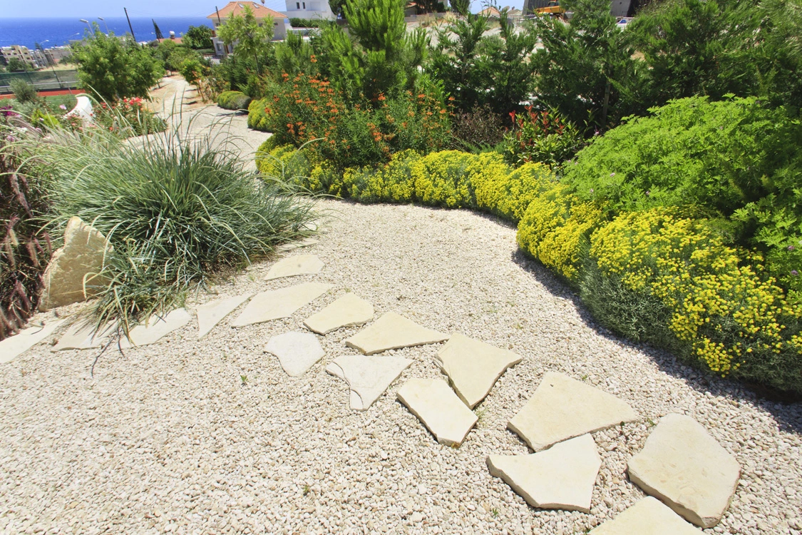Green Forest - Cyprus' leading landscaping company - herbsplants 21 2