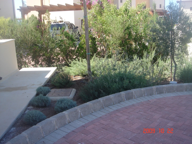 Green Forest - Cyprus' leading landscaping company - herbsplants 35