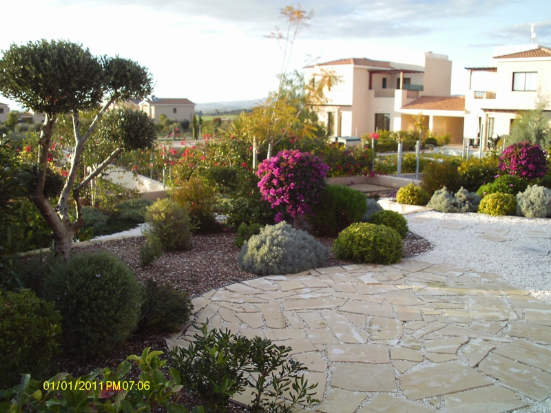 Green Forest - Cyprus' leading landscaping company - markhapotami 22 3