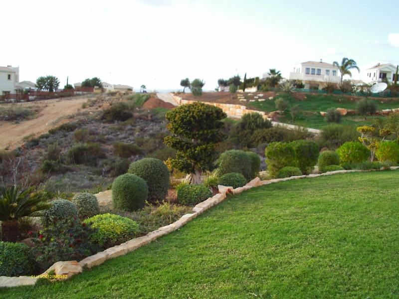 Green Forest - Cyprus' leading landscaping company - markhapotami 28 2