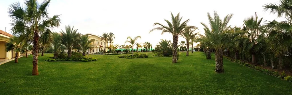 Green Forest - Cyprus' leading landscaping company - maroni 1 2