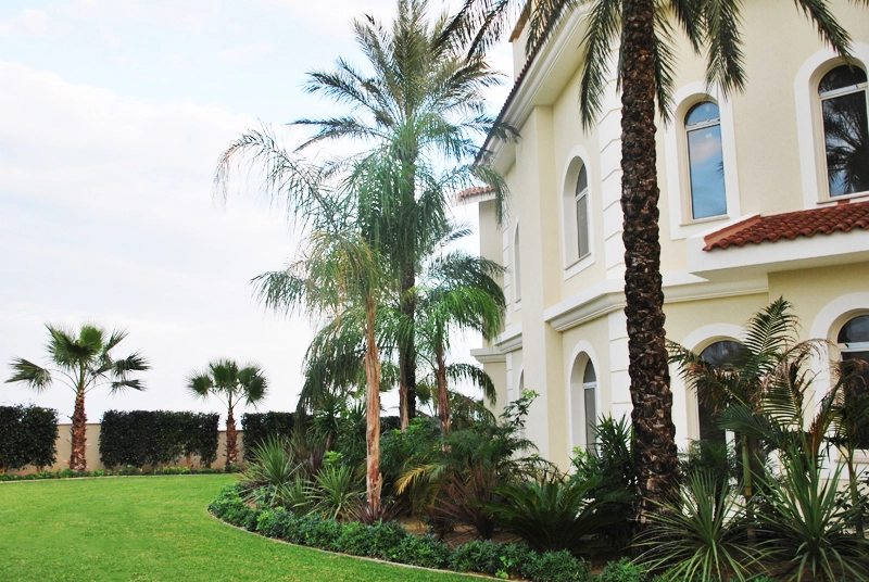 Green Forest - Cyprus' leading landscaping company - maroni 10