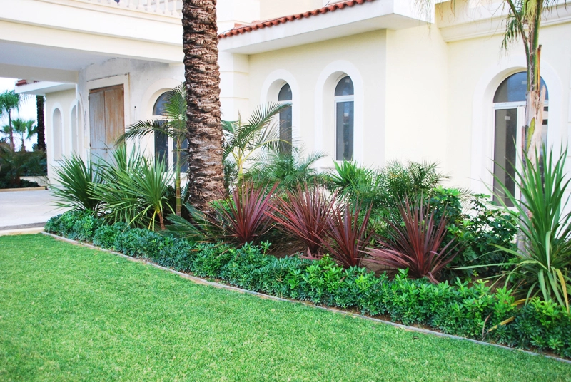 Green Forest - Cyprus' leading landscaping company - maroni 16 2