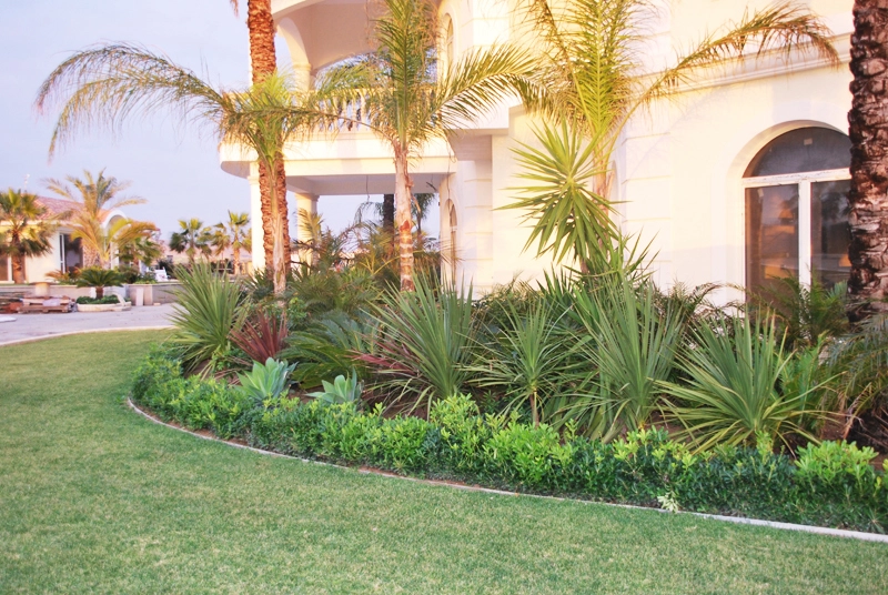 Green Forest - Cyprus' leading landscaping company - maroni 17 2