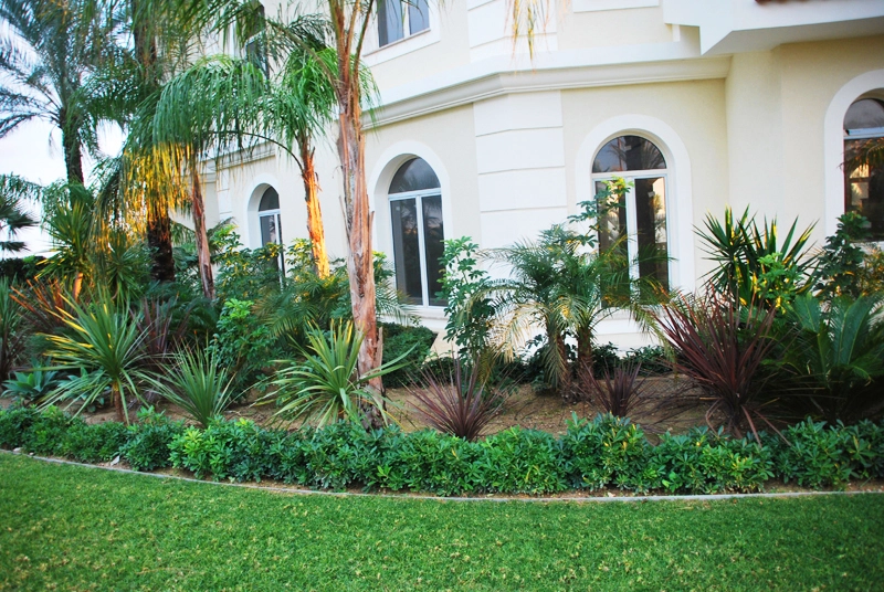 Green Forest - Cyprus' leading landscaping company - maroni 18 1
