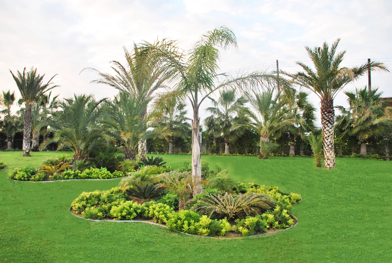 Green Forest - Cyprus' leading landscaping company - maroni 2