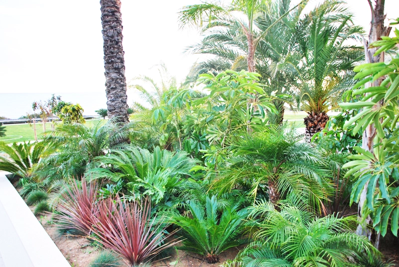 Green Forest - Cyprus' leading landscaping company - maroni 21 1