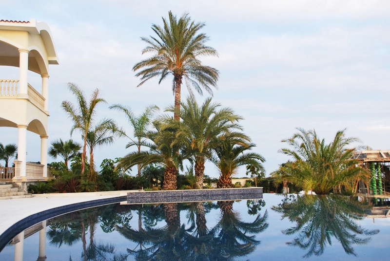 Green Forest - Cyprus' leading landscaping company - maroni 24