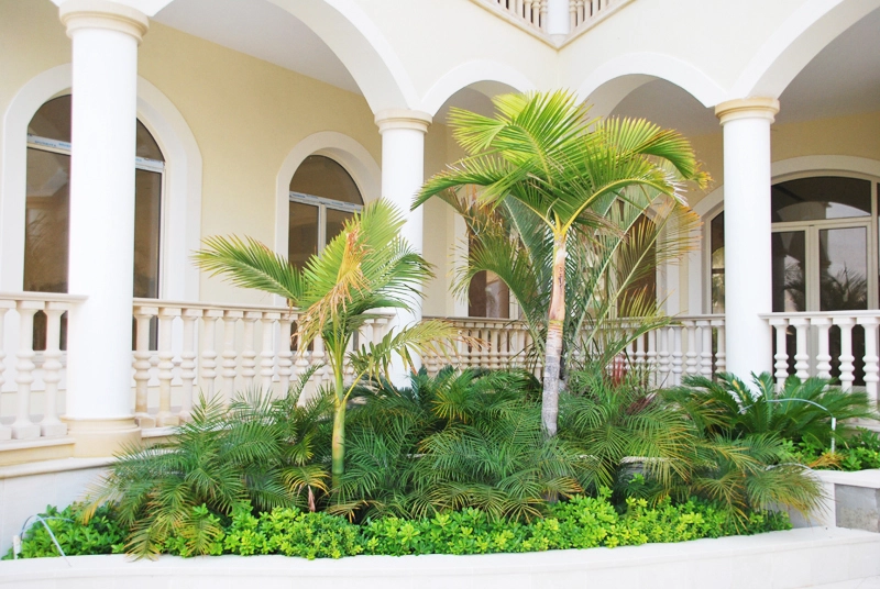 Green Forest - Cyprus' leading landscaping company - maroni 25 1