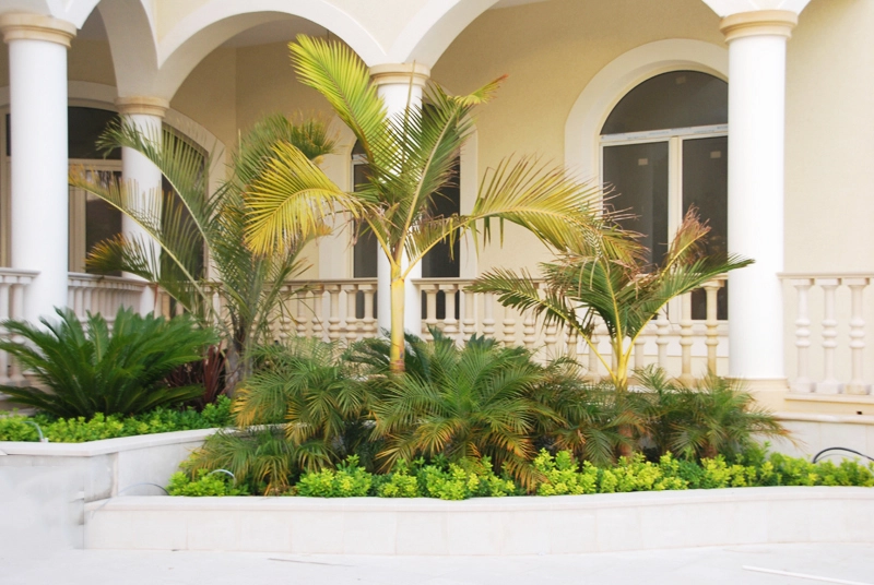 Green Forest - Cyprus' leading landscaping company - maroni 26 2