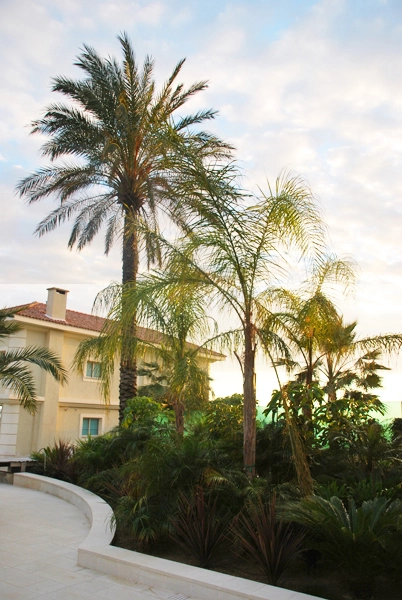 Green Forest - Cyprus' leading landscaping company - maroni 27 2
