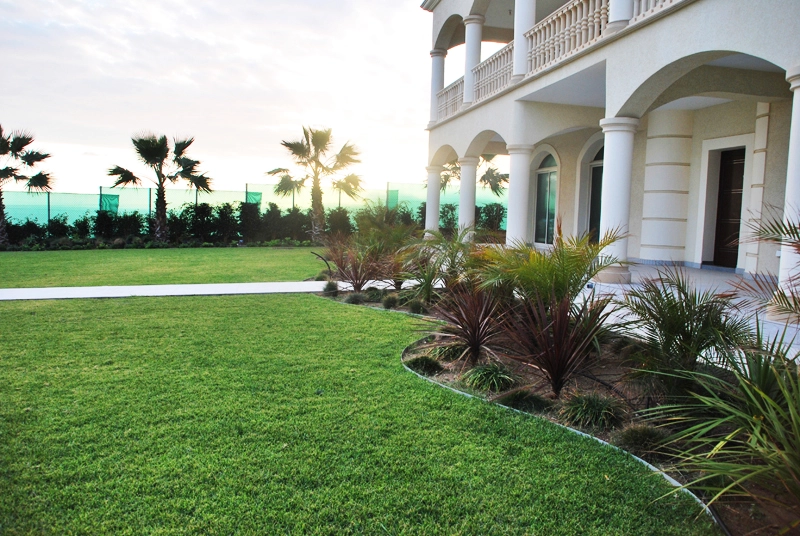 Green Forest - Cyprus' leading landscaping company - maroni 29 2