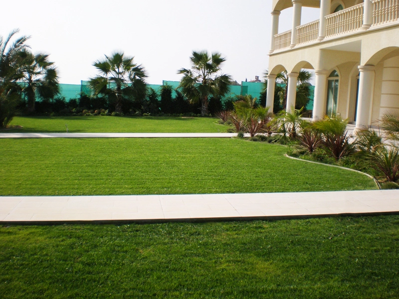Green Forest - Cyprus' leading landscaping company - maroni 30 2
